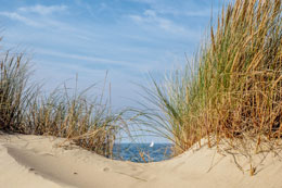 Illustration Segel und Düne